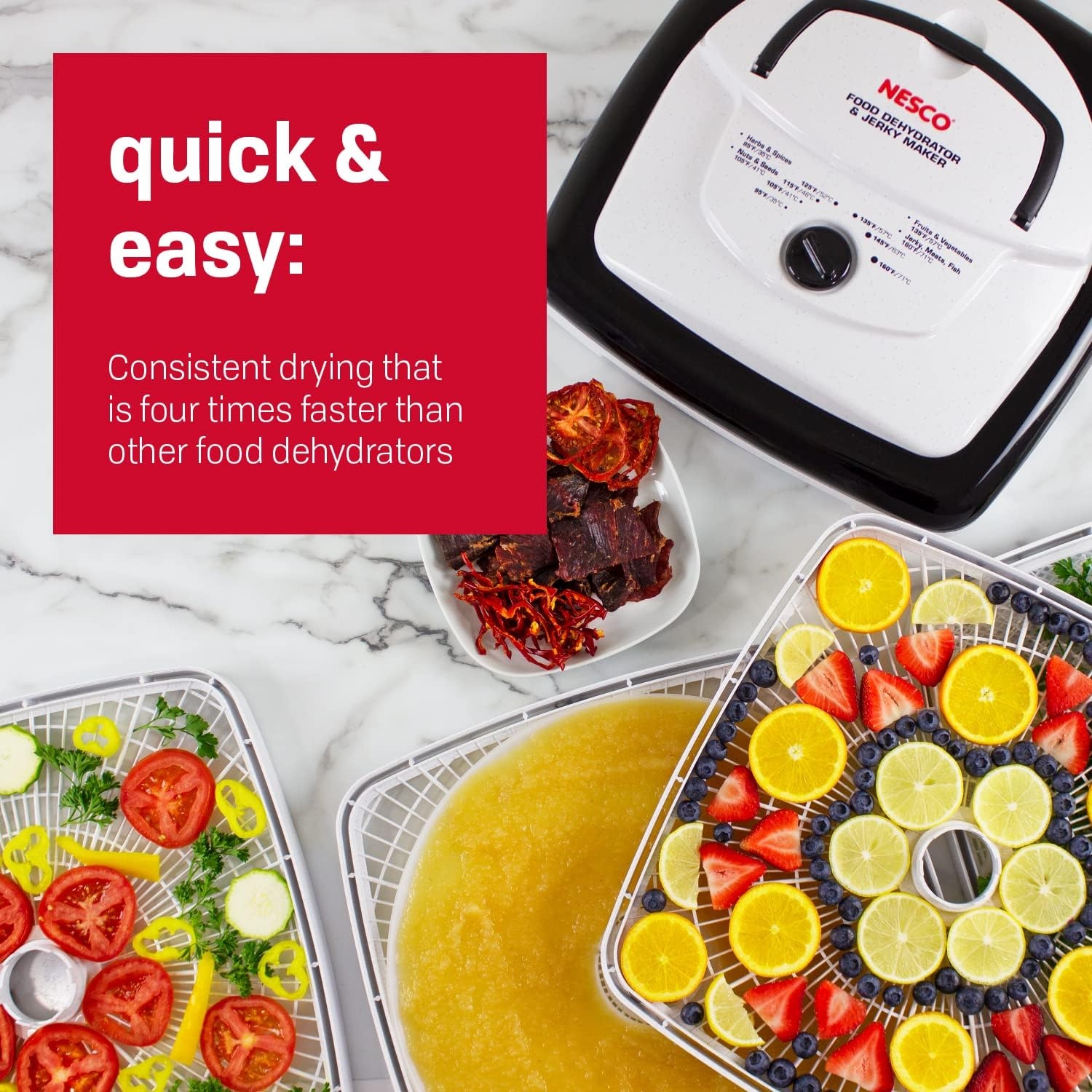 NESCO FD‑80A Square Food Dehydrator for Snacks, Fruit, Beef Jerky, 4‑Tray White Electric Dehydrator with Even Heat Drying(Dehydrator)