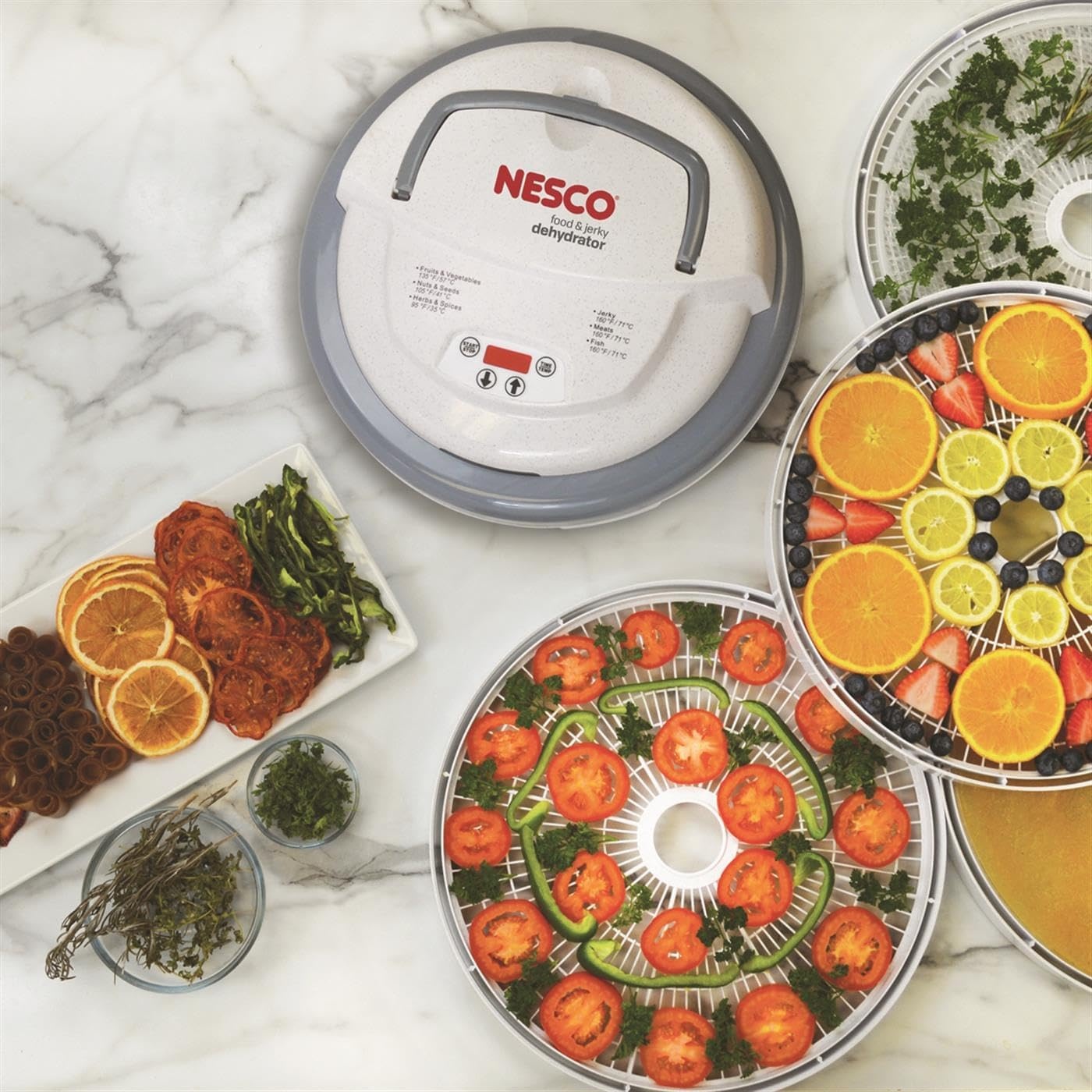 Nesco FD-79 Snackmaster Pro Digital Food Dehydrator for Snacks, Fruit, Beef Jerky, Meat, Vegetables & Herbs, Gray, 4 Trays, 1 Count (Pack of 1),Grey(Dehydrator)