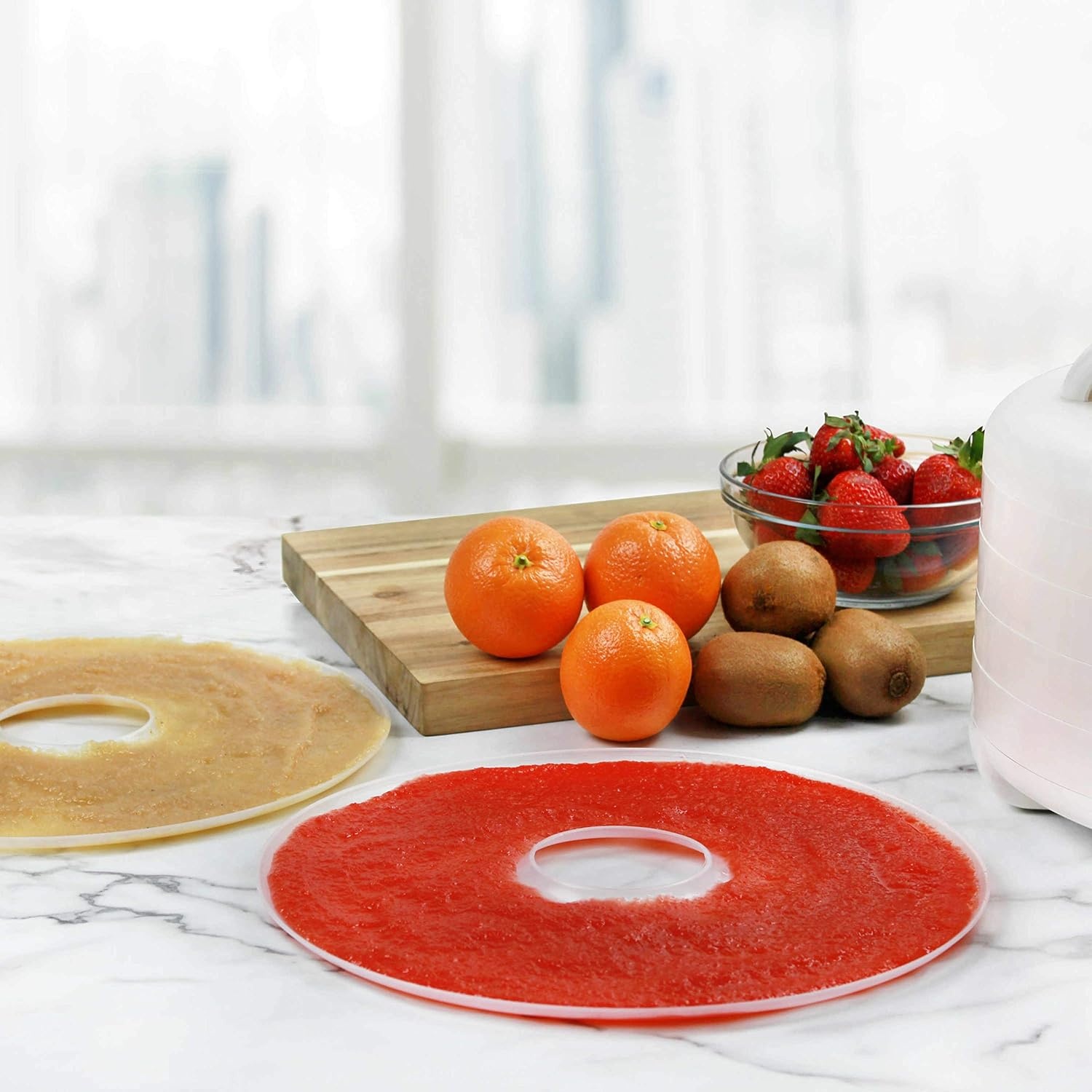 Nesco LSS-2-6 Snackmaster Fruit Roll Sheet for Nesco Food Dehydrators, Great for Drying Sauces, Purees, Soups, and Liquids, Make Fruit Rolls at Home, 2 Count(for Nesco Food Dehydrators)