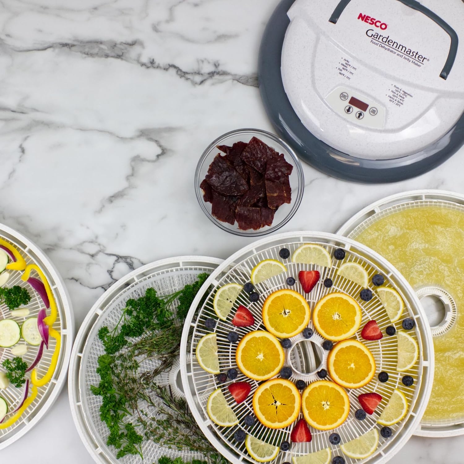 NESCO FD‑1040 Gardenmaster Digital Pro 4 Tray Food Dehydrator for Home Food Preservation, White Electric Dehydrator with Expandable Tray Capacity(Dehydrator)