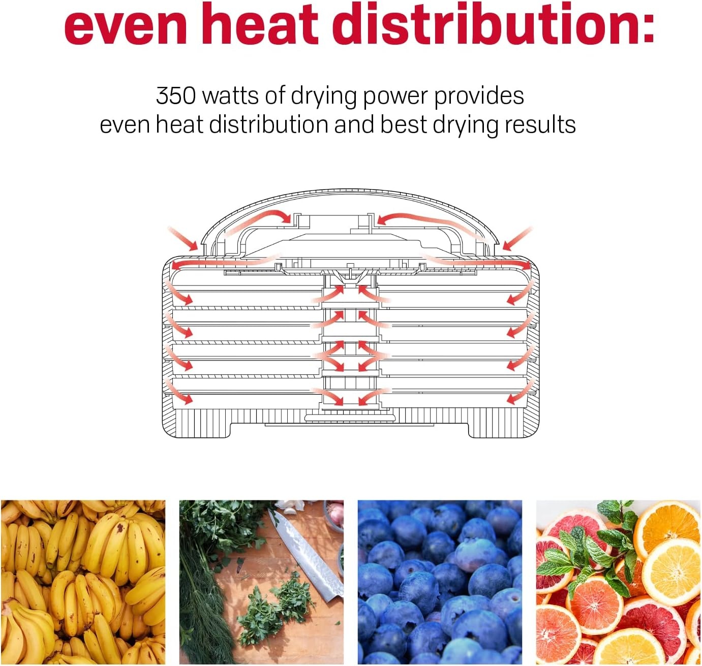 Nesco FD-28JX JerkyXpress Food Dehydrator with Accessories for Beef Jerky, 4 Trays, White(Dehydrator)
