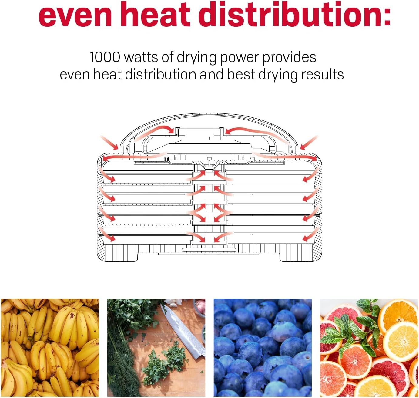 Nesco FD-1018A Gardenmaster Pro Food Dehydrator + Nesco TR-2 Add-A-Tray, Set of 2