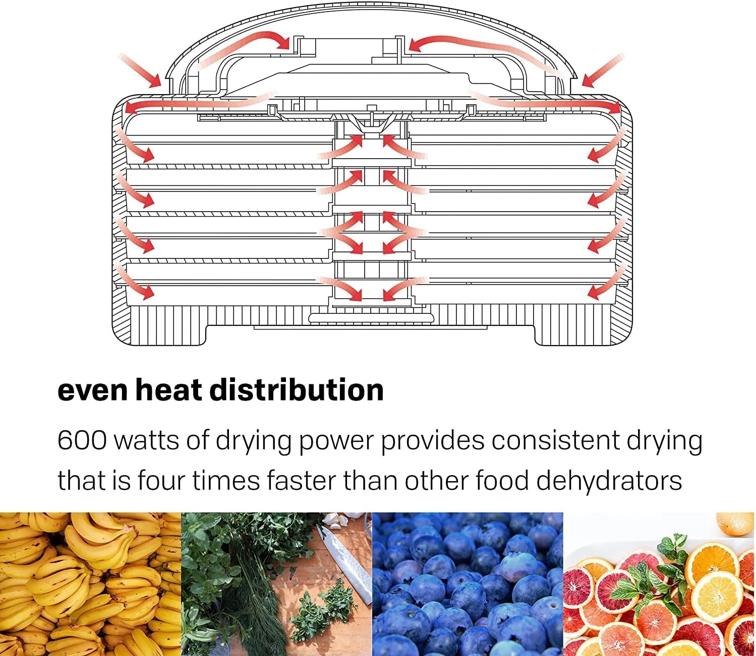 Nesco FD-60 Snackmaster Express Food Dehydrator + Nesco LT-2SG Snackmaster Add-a-Tray, Set of 2(Dehydrator + Add-A-Tray)