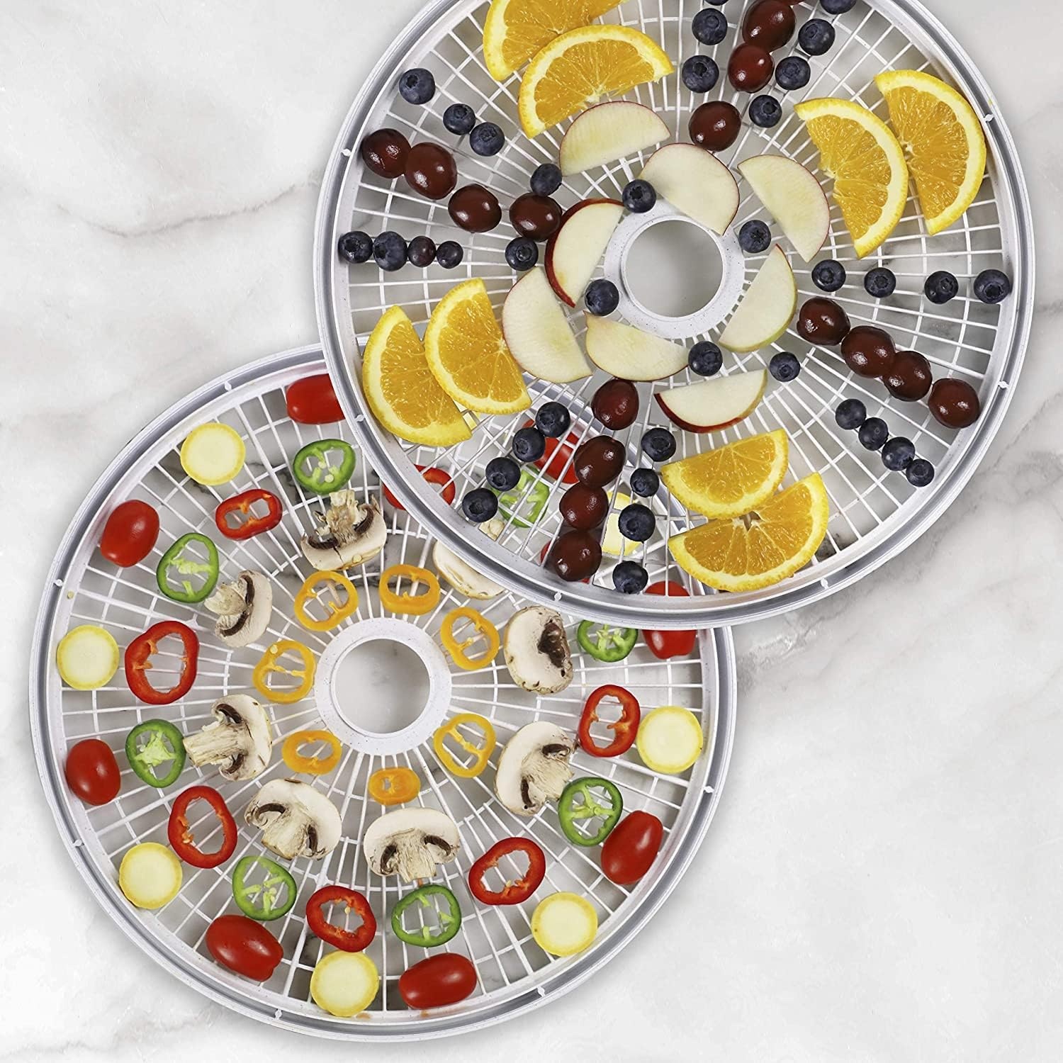 Nesco FD-60 Snackmaster Express Food Dehydrator + Nesco LT-2SG Snackmaster Add-a-Tray, Set of 2(Dehydrator + Add-A-Tray)
